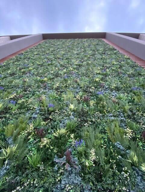 Artificial green walls